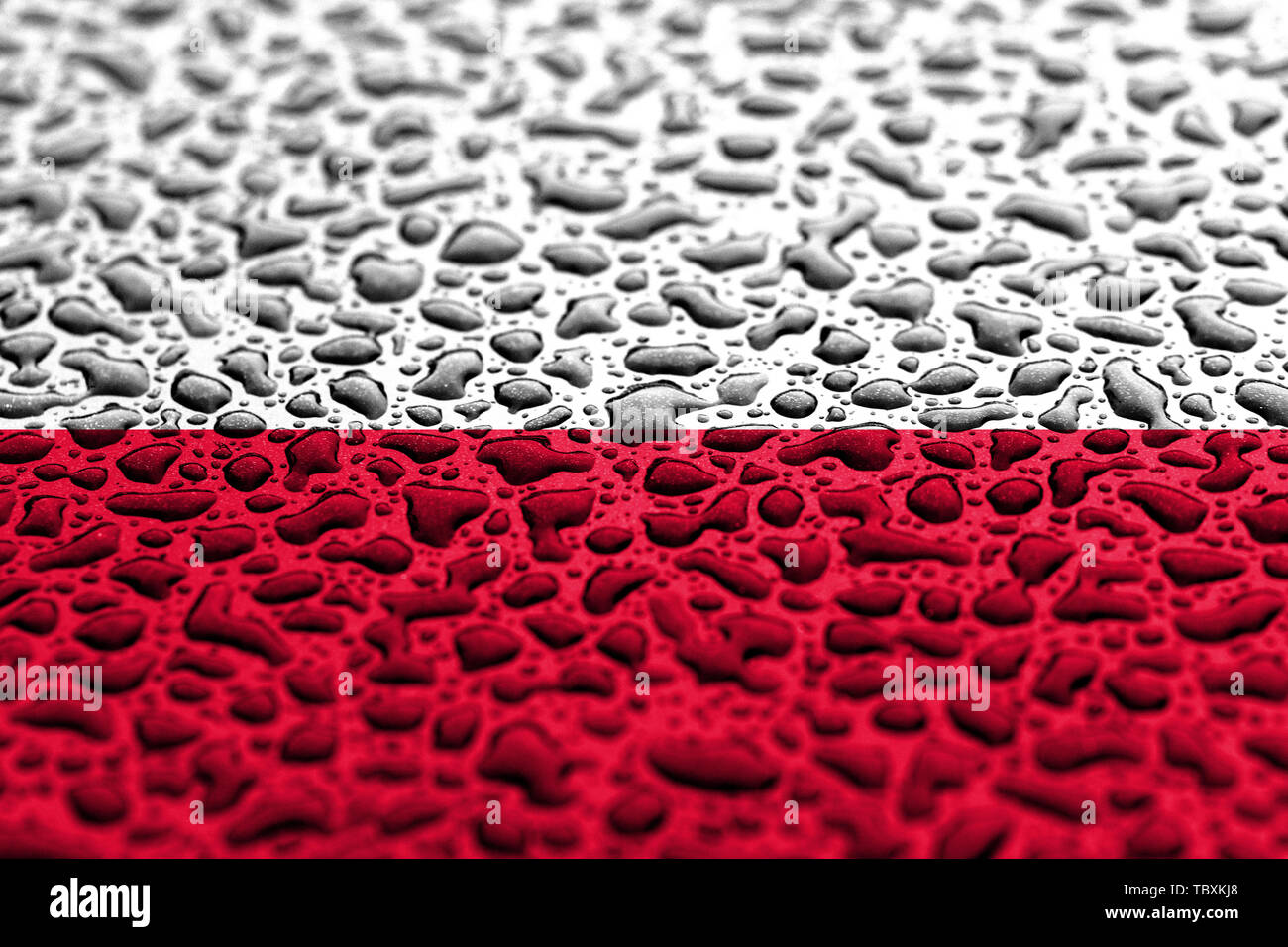 National flag of Poland made of water drops. Background forecast ...