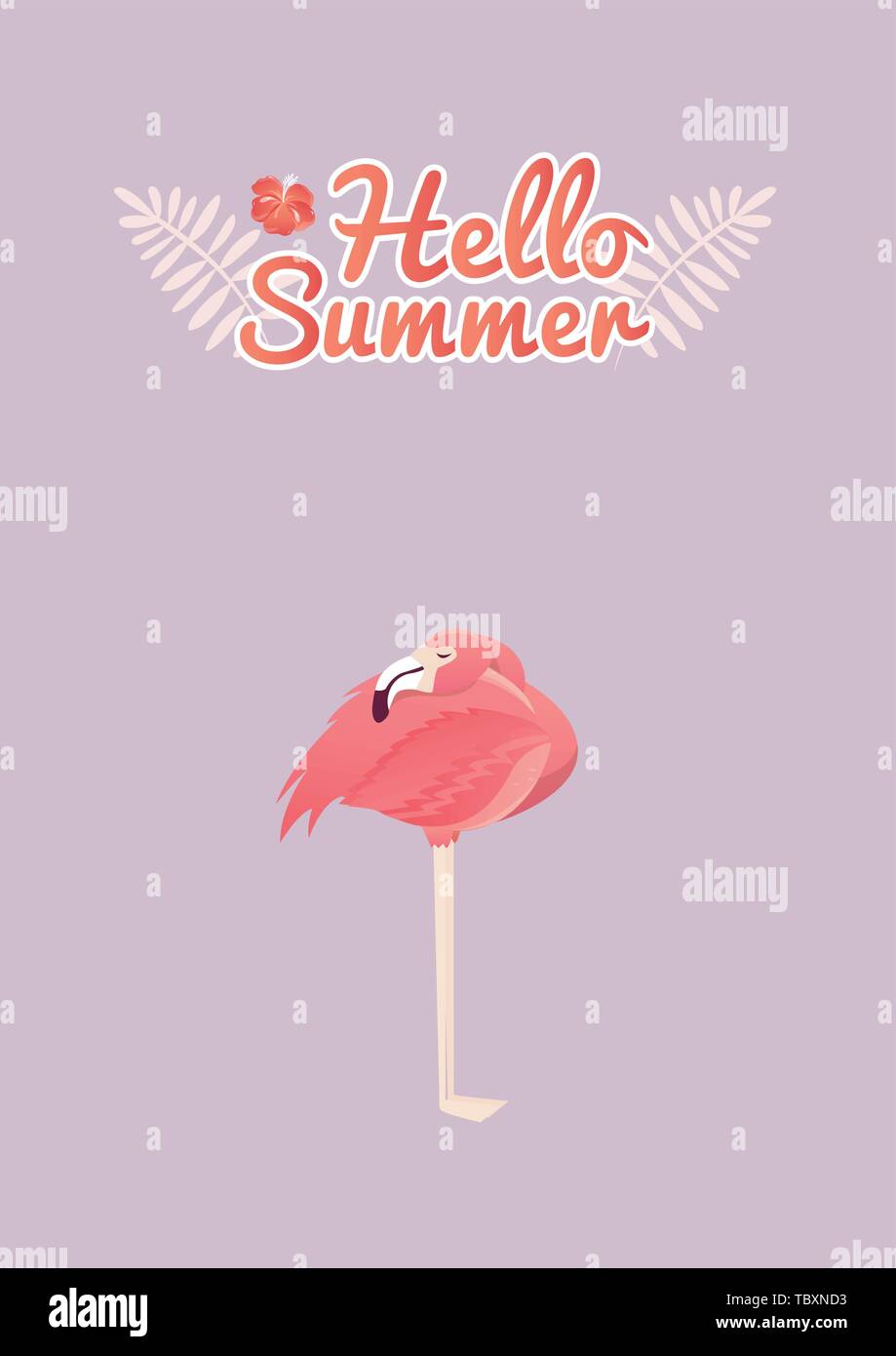 Flamingo bird illustration design on background Stock Vector