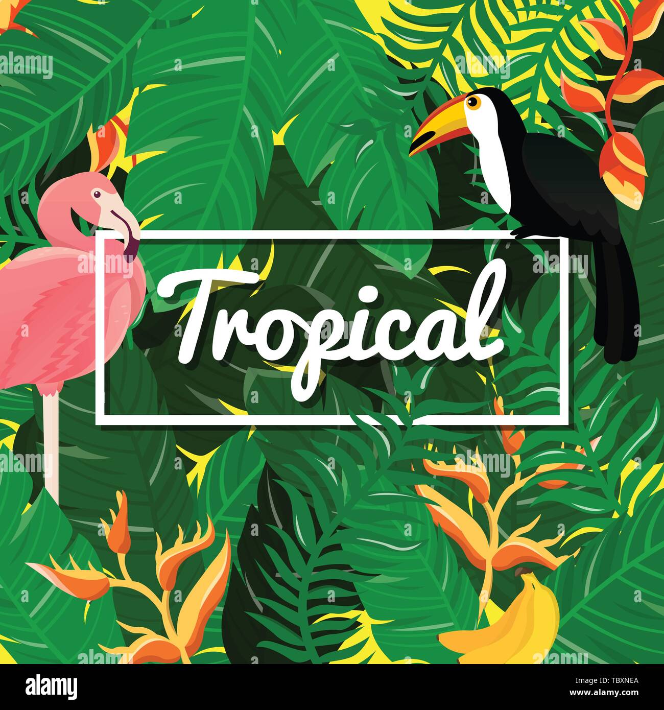 Tropical Flowers Background. Summer Design. Vector Stock Vector Image ...