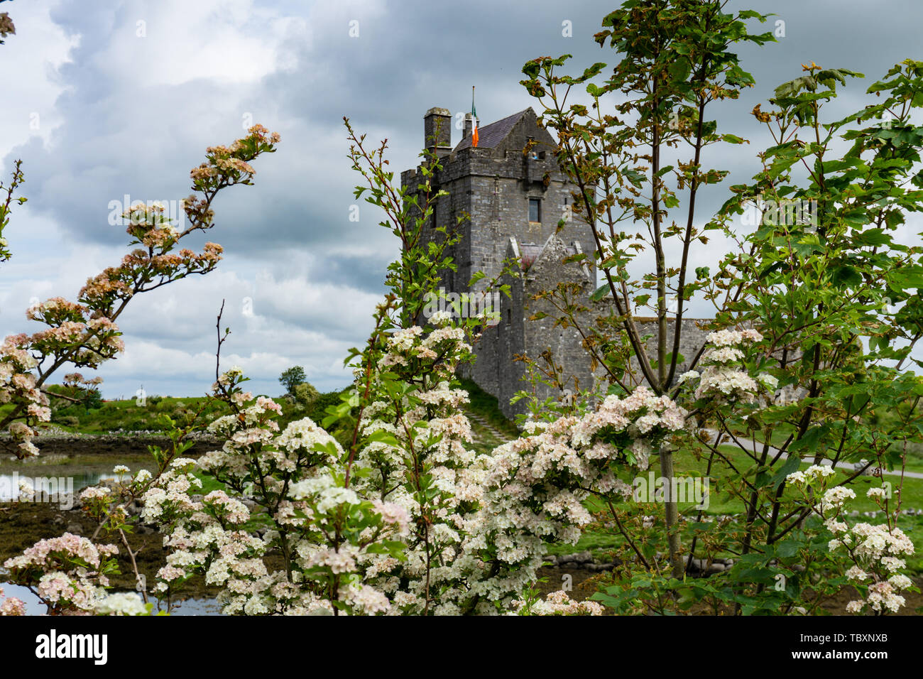 Ireland, Galway, May 2019: Dunguaire Castle, 16th-century tower house Stock Photo