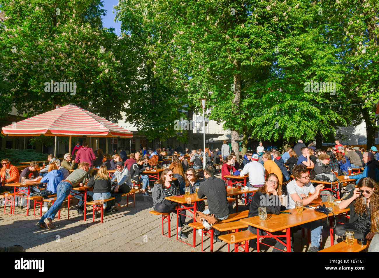 Prater beer garden, chestnut avenue, Prenzlauer mountain, Pankow, Berlin, Germany, Prater Biergarten, Kastanienallee, Prenzlauer Berg, Deutschland Stock Photo