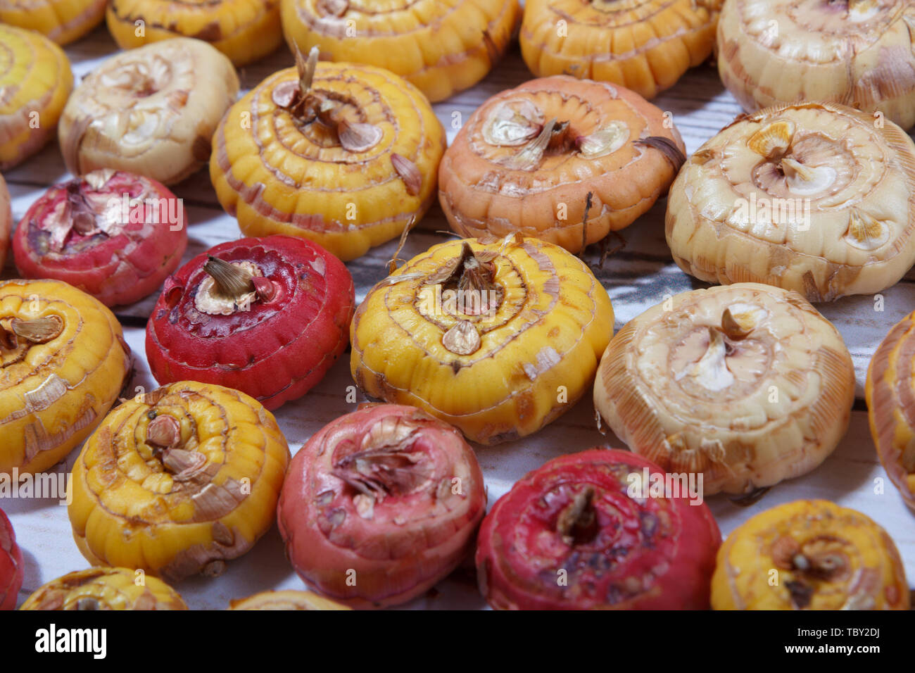 pile of natural onions with some small defects Stock Photo Alamy