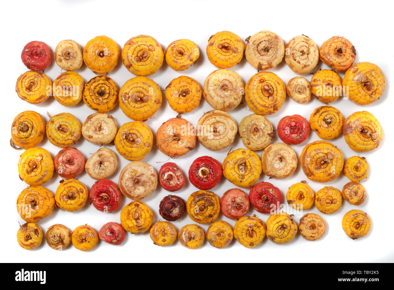 pile of natural onions with some small defects Stock Photo Alamy