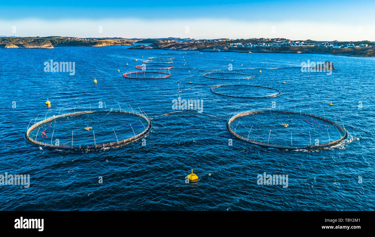 Salmon fish farm. Hordaland, Norway. Stock Photo