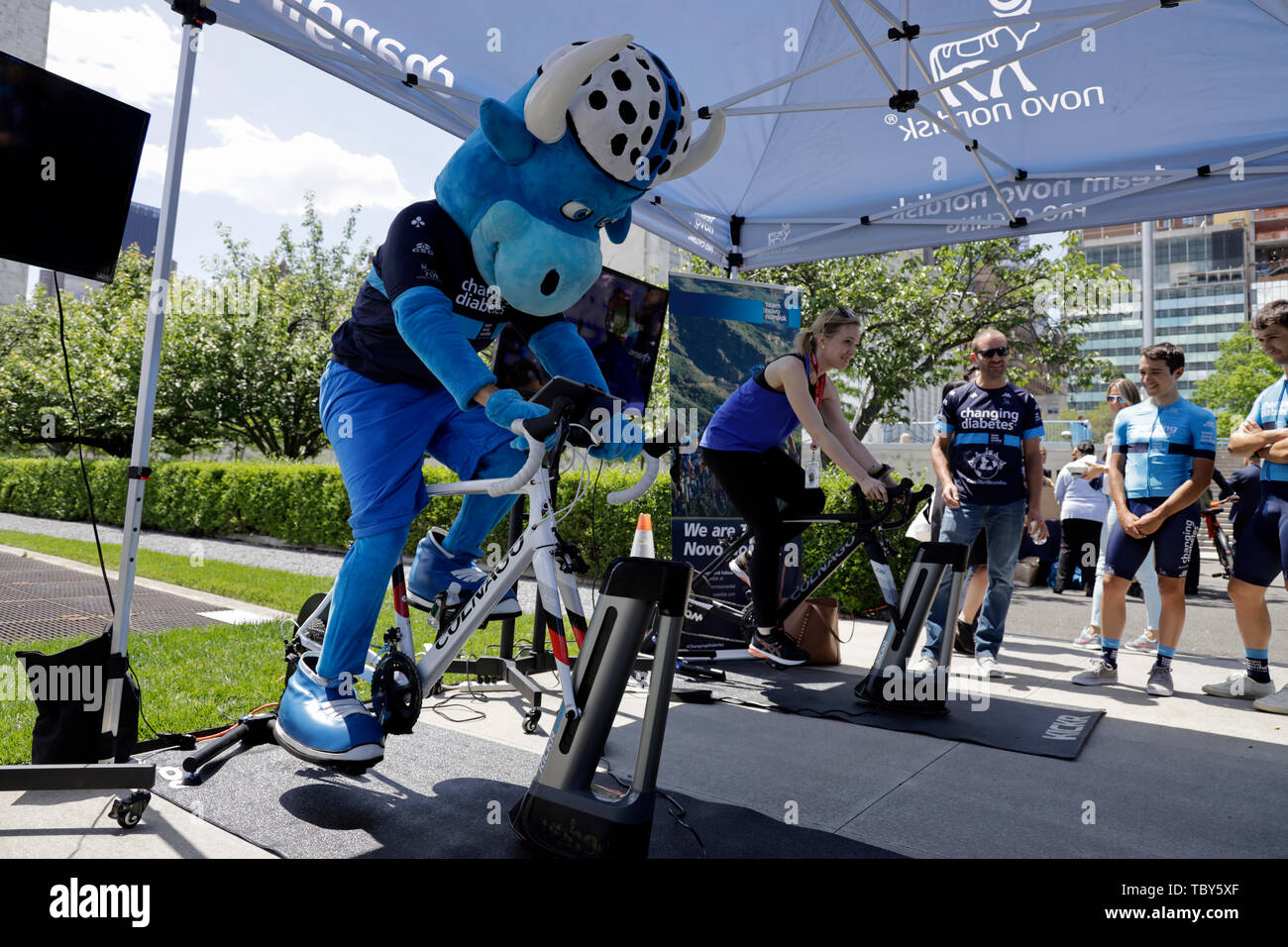 indoor bike simulator