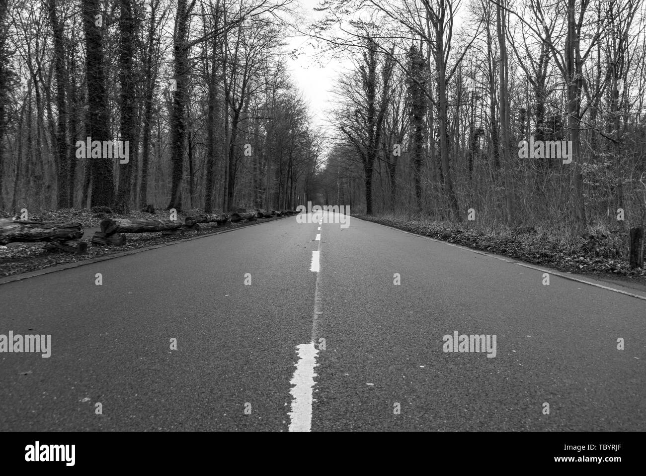 Beautiful view country road Black and White Stock Photos & Images - Alamy