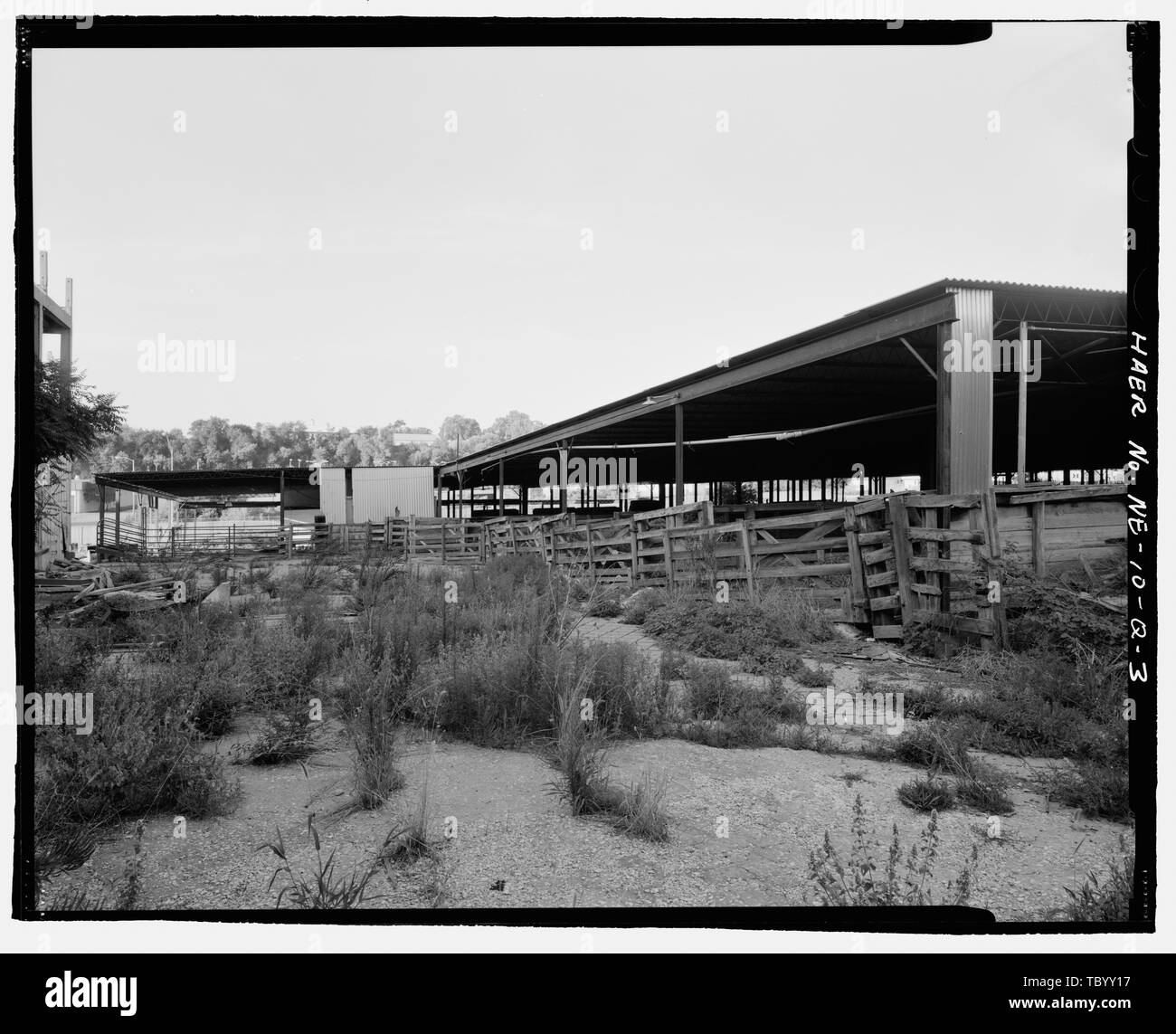 North and east sides. View to south. South Omaha Union Stock Yards