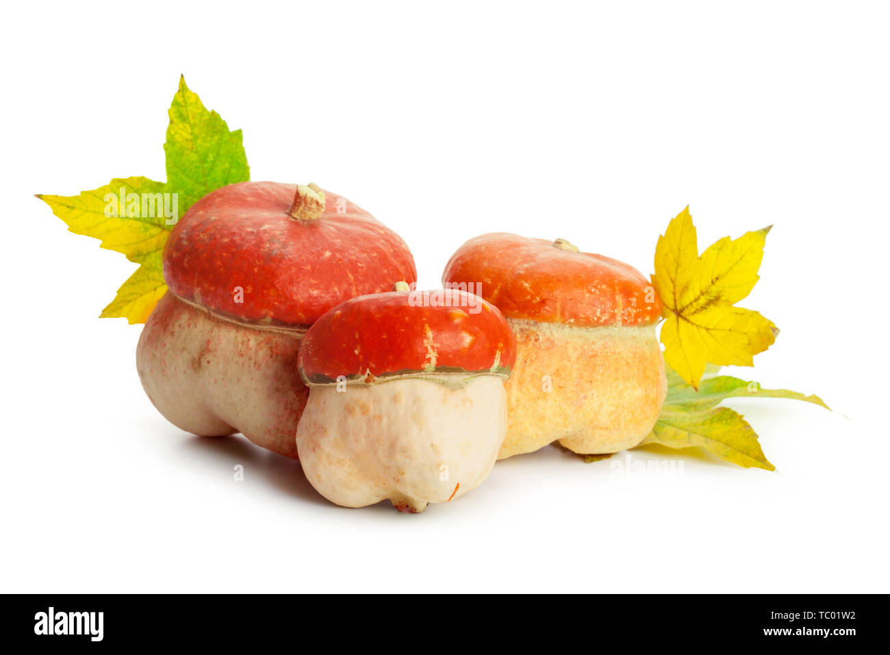 Autumn display with pumpkin and leaves isolated on white background ...