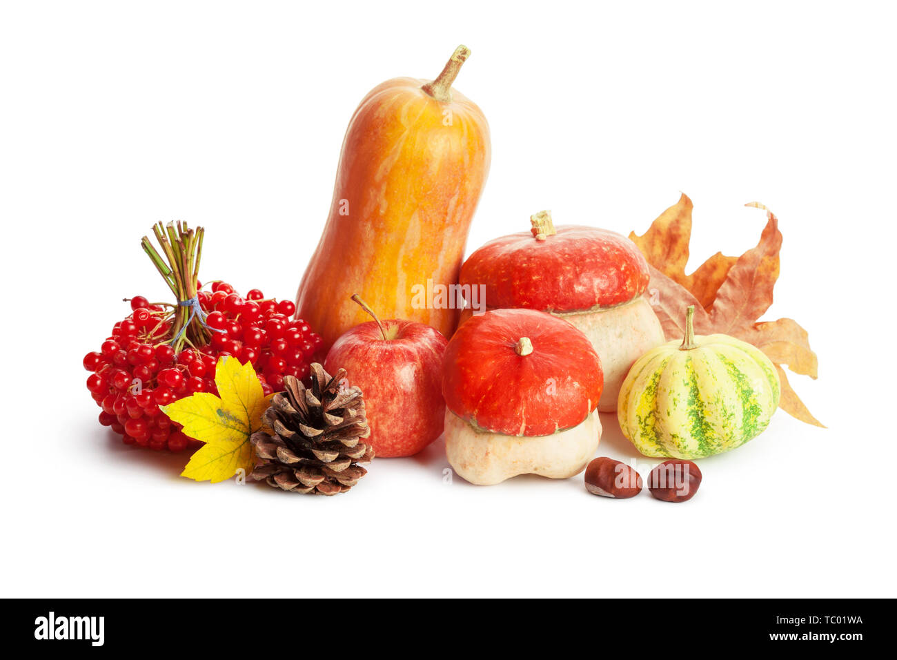 Autumn display with pumpkin and leaves isolated on white background ...