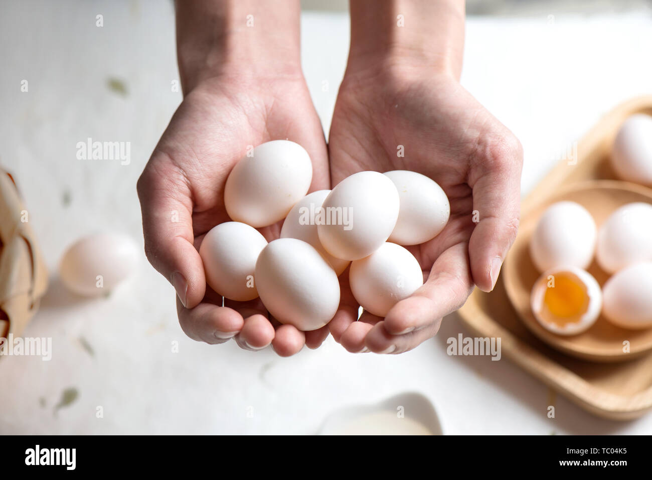 Fresh pigeon eggs Stock Photo Alamy