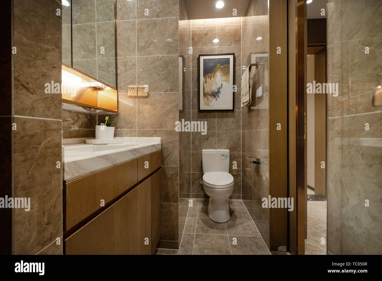 Luxury housing and flushing toilet table table hires stock photography