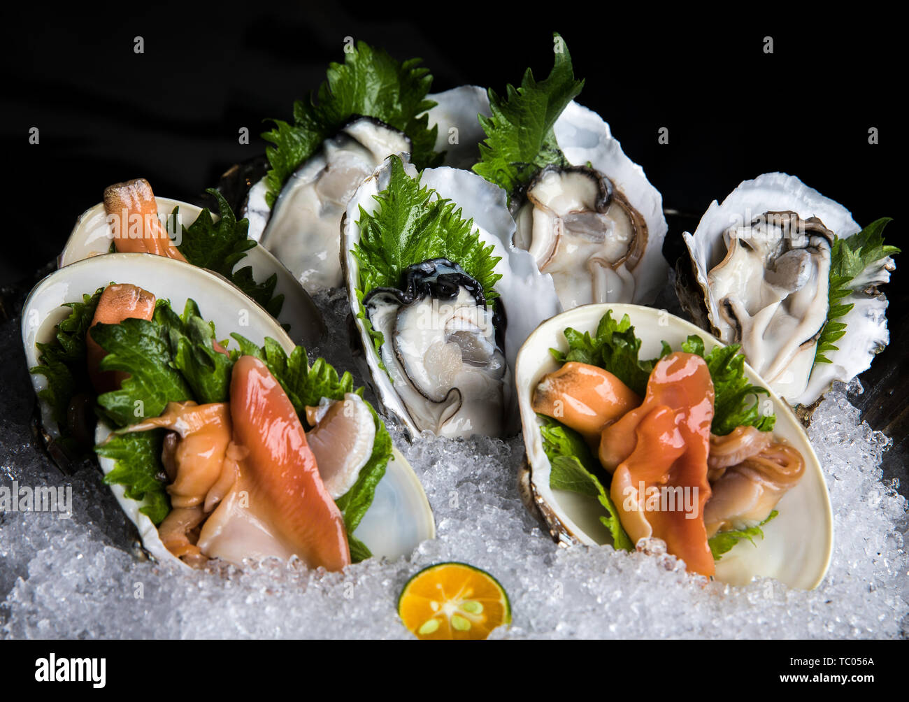 Shellfish Platter High Resolution Stock Photography and Images Alamy