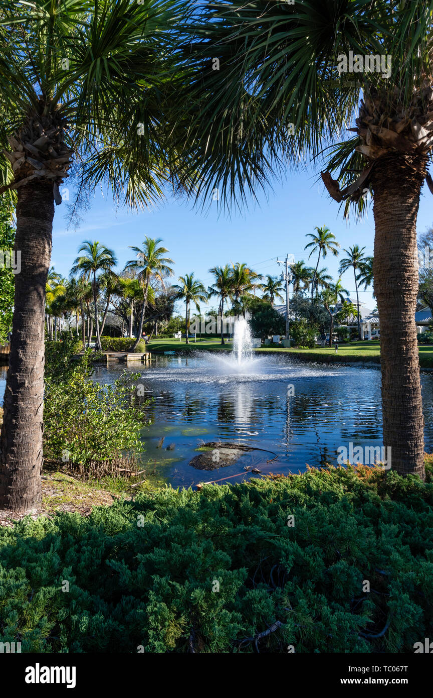 Lake surrounded by coconut palm trees inside the South Seas Island