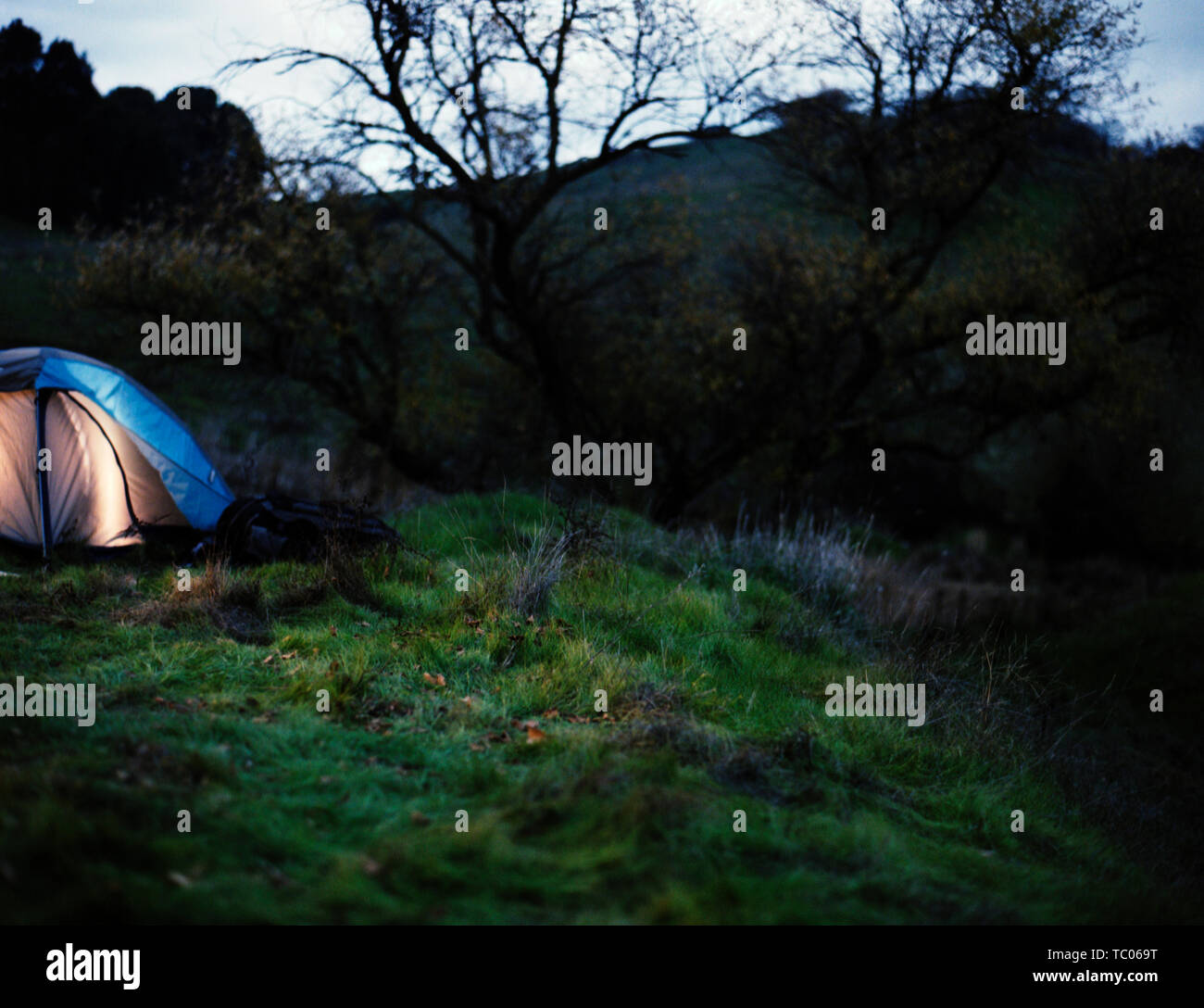 Night tent shadows hi-res stock photography and images - Alamy