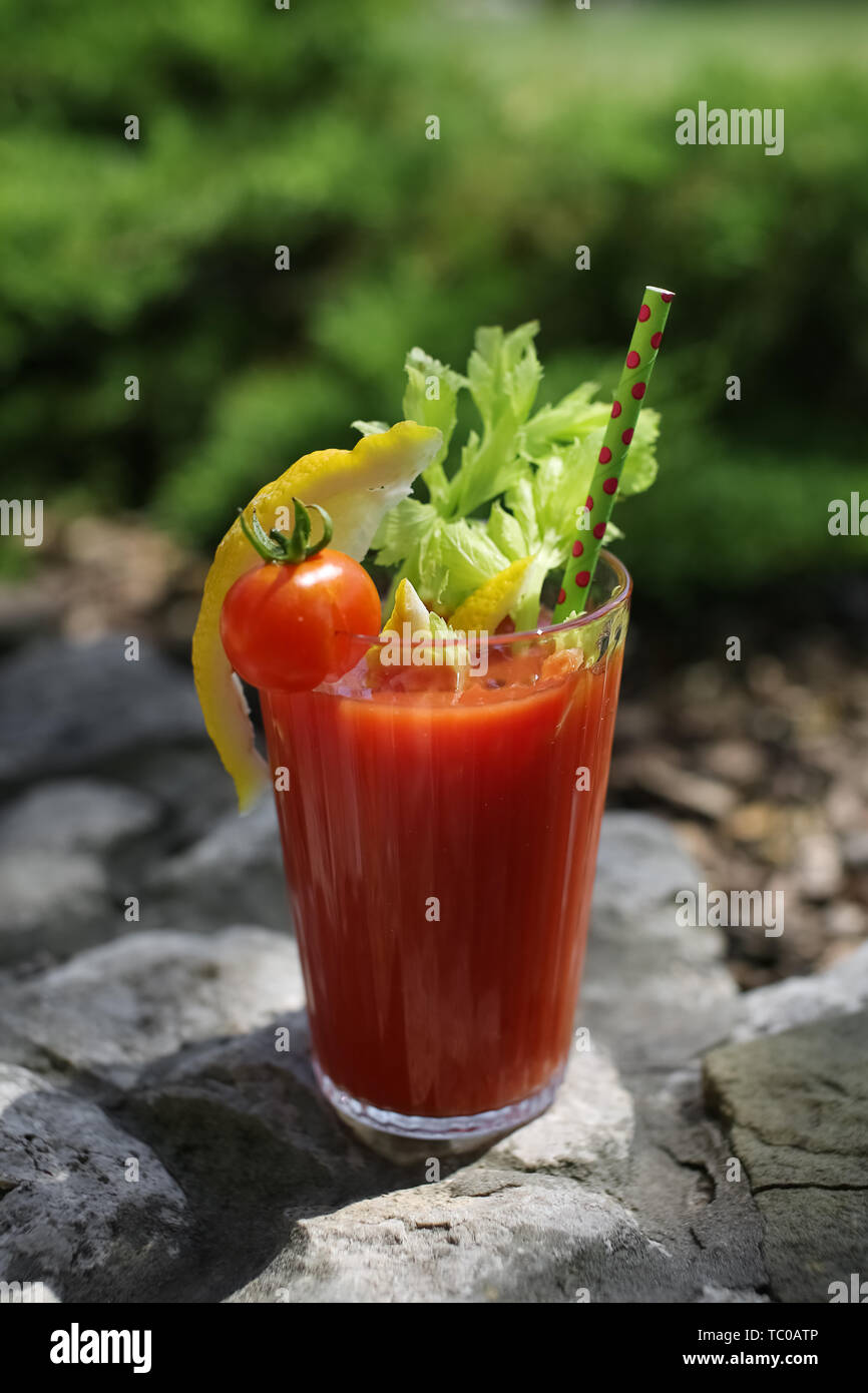 https://c8.alamy.com/comp/TC0ATP/bloody-mary-cocktail-with-dotted-green-tube-on-stone-parapet-made-of-pure-homemade-tomato-juice-with-celery-lemon-vodka-and-tabasco-TC0ATP.jpg