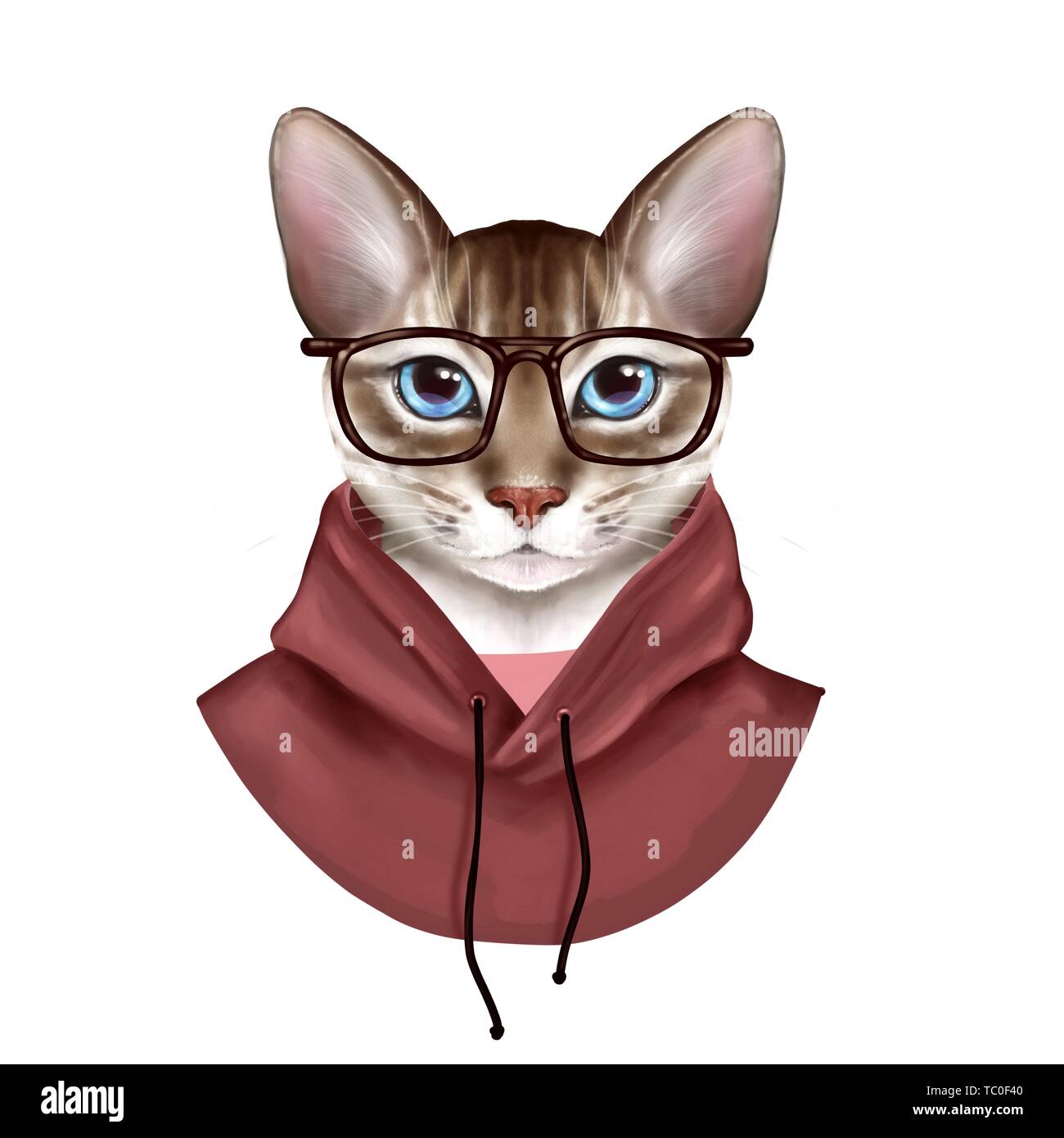 Dressed up cat. Cute illustration Stock Photo