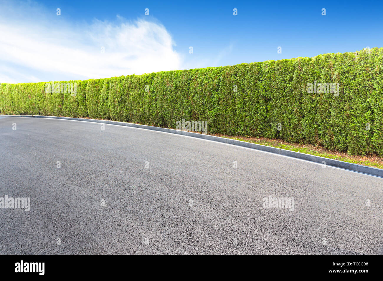 empty asphalt road near tidy green trees Stock Photo - Alamy