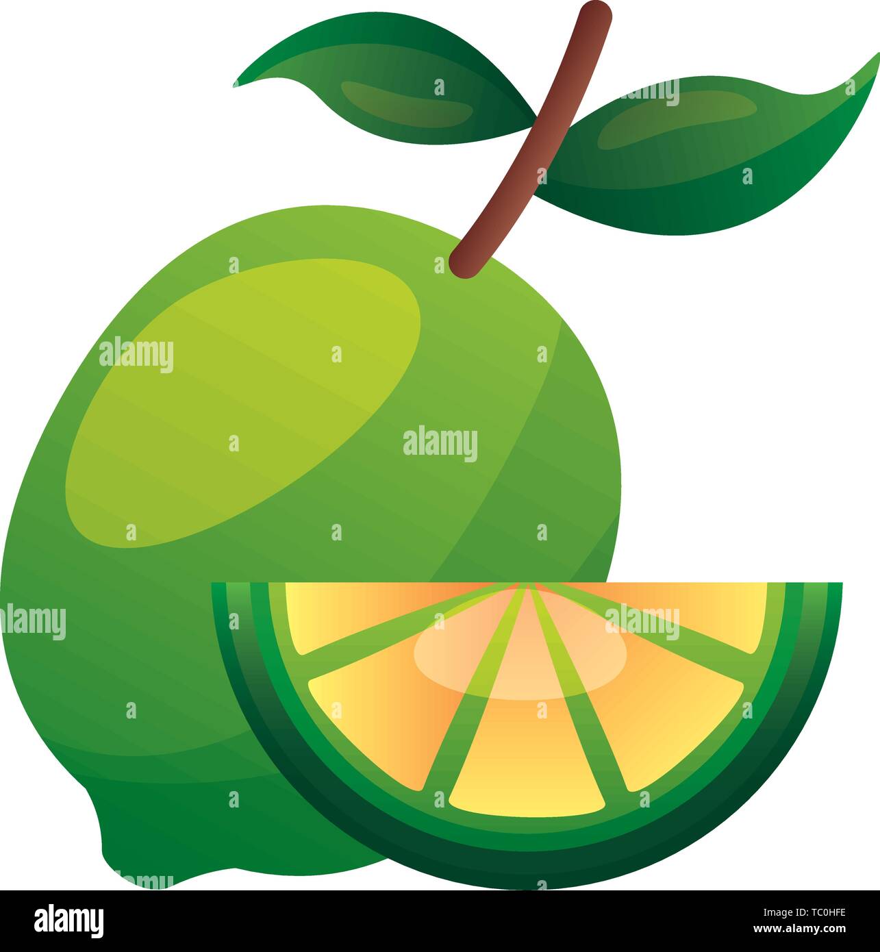 whole and slice lemon citrus Stock Vector Image & Art - Alamy