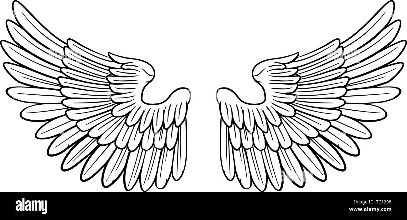 Wings Angel or Eagle Pair Stock Vector