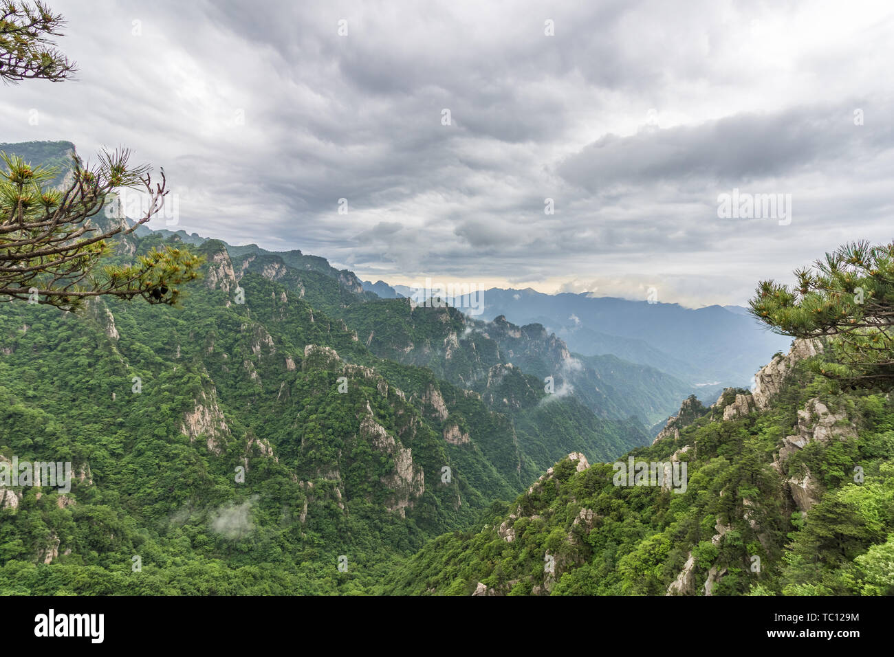Chine Ridge Natural Scenery of Old Jie Ridge, Funiu Mountain, China Stock Photo - Alamy