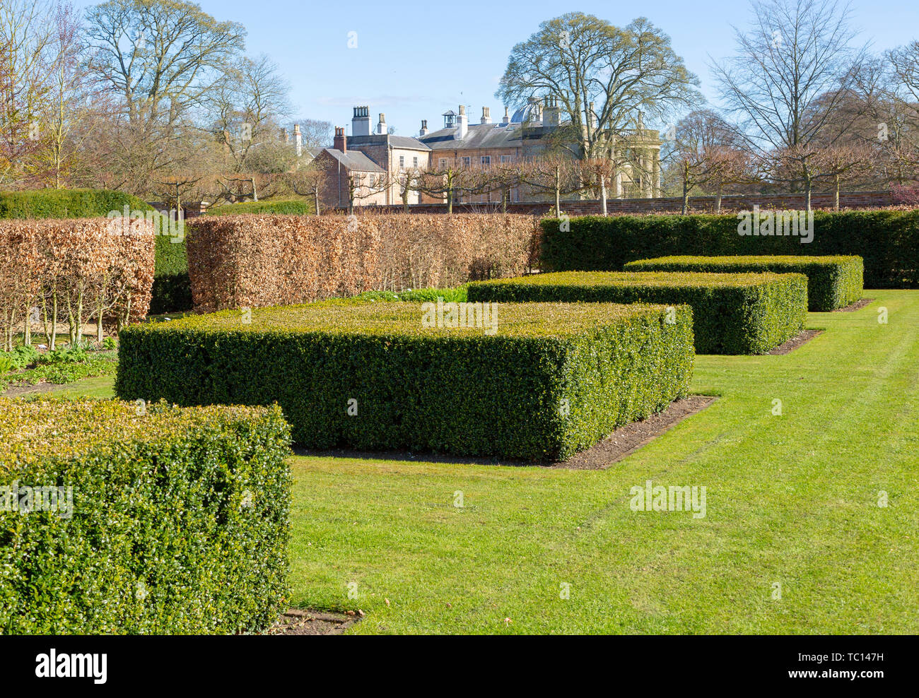 Garden designed by Piet Oudolf at Scampston Hall, Yorkshire, England, UK - Spring Box Garden Stock Photo
