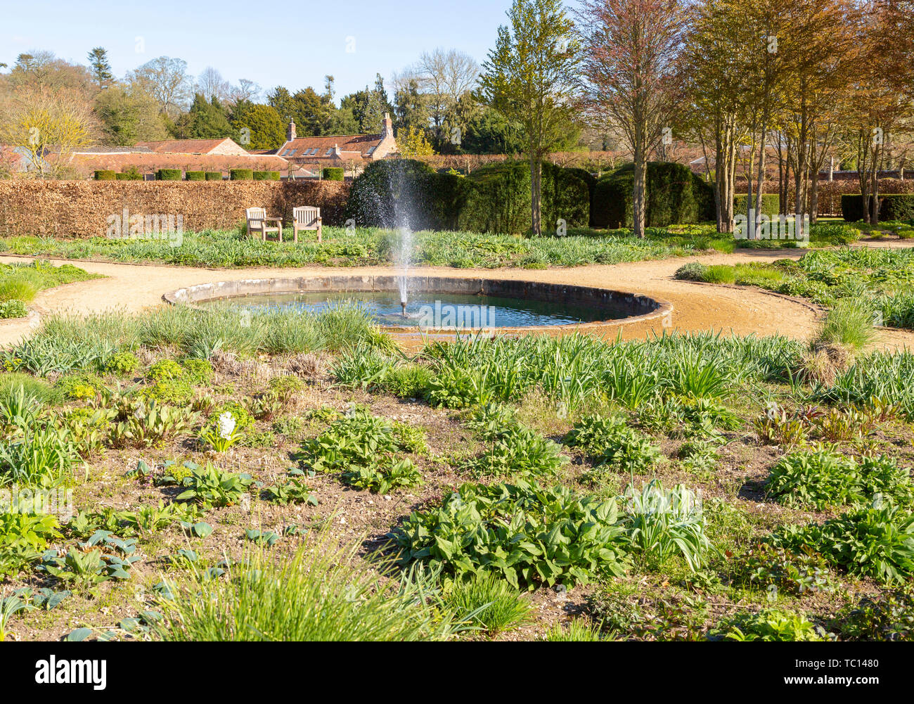 Garden designed by Piet Oudolf at Scampston Hall, Yorkshire, England, UK - Perennial Meadow pond Stock Photo