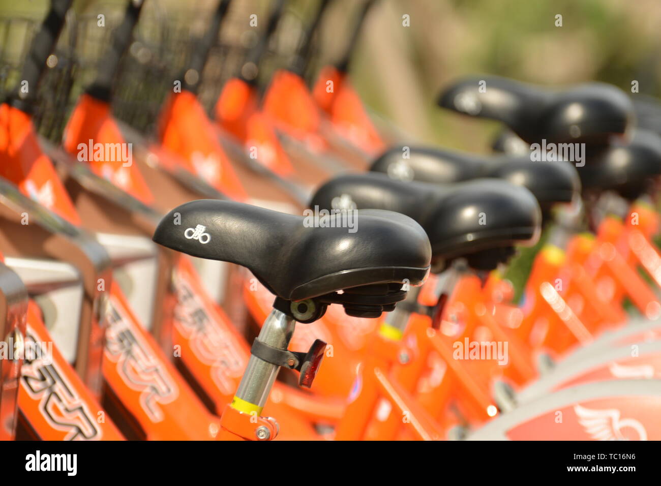 Shared bike seat closeup Stock Photo Alamy