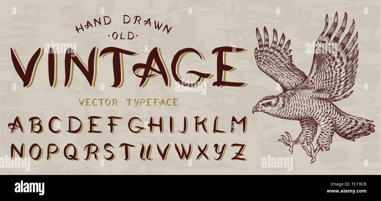 Calligraphic vintage font, Capital letters. Bird eagle, template for emblem and logo. Alphabet on retrobackground. Gothic Symbols types. Outlined Stock Vector