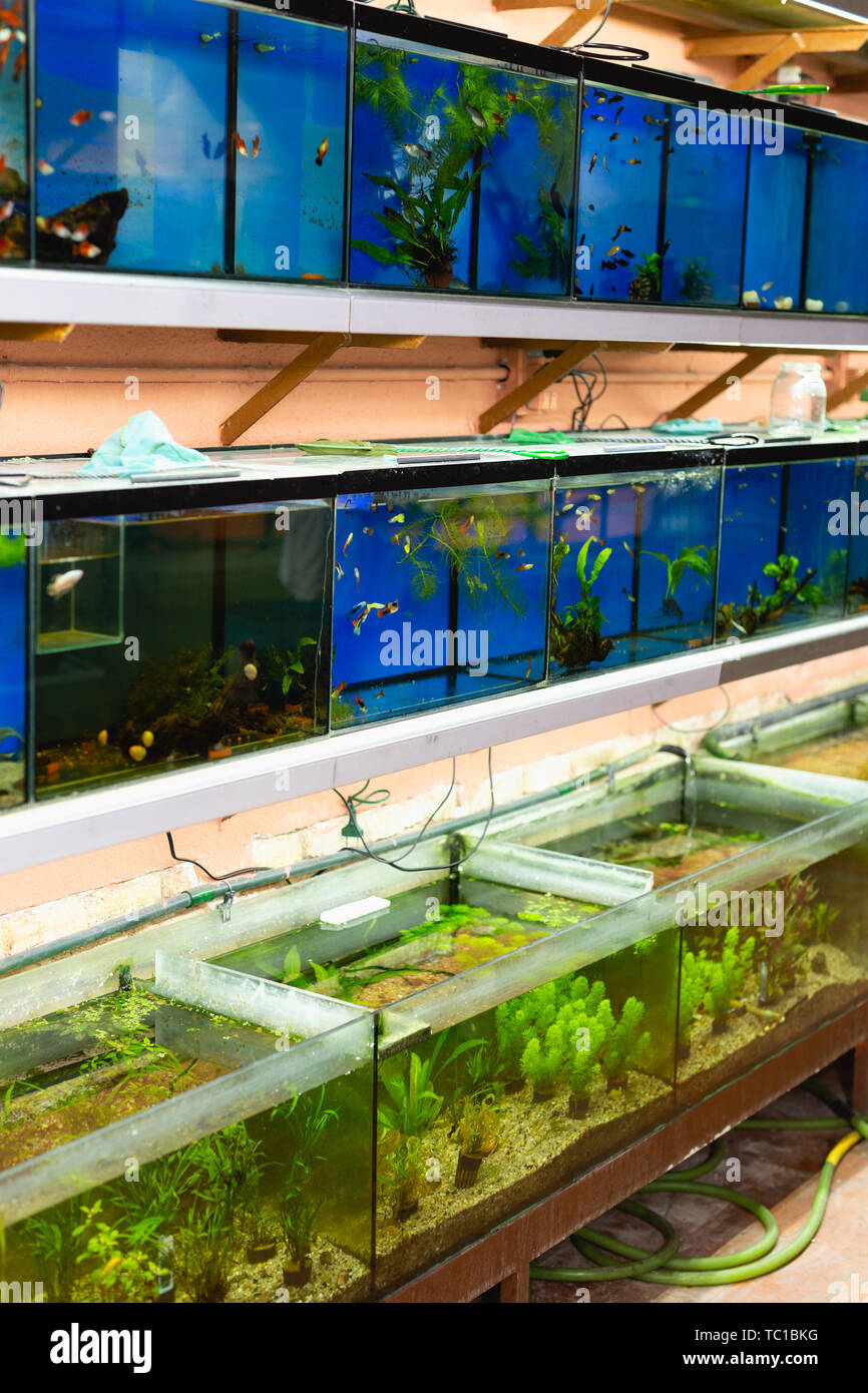 Aquarium accessories store best sale