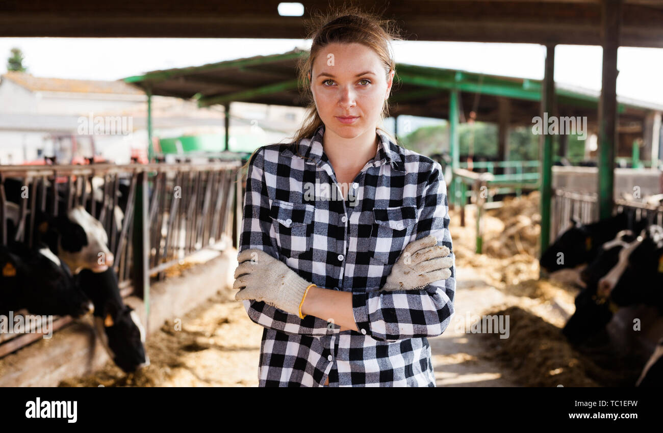 Positive female farmer posing in cowshed at dairy farm Stock Photo - Alamy