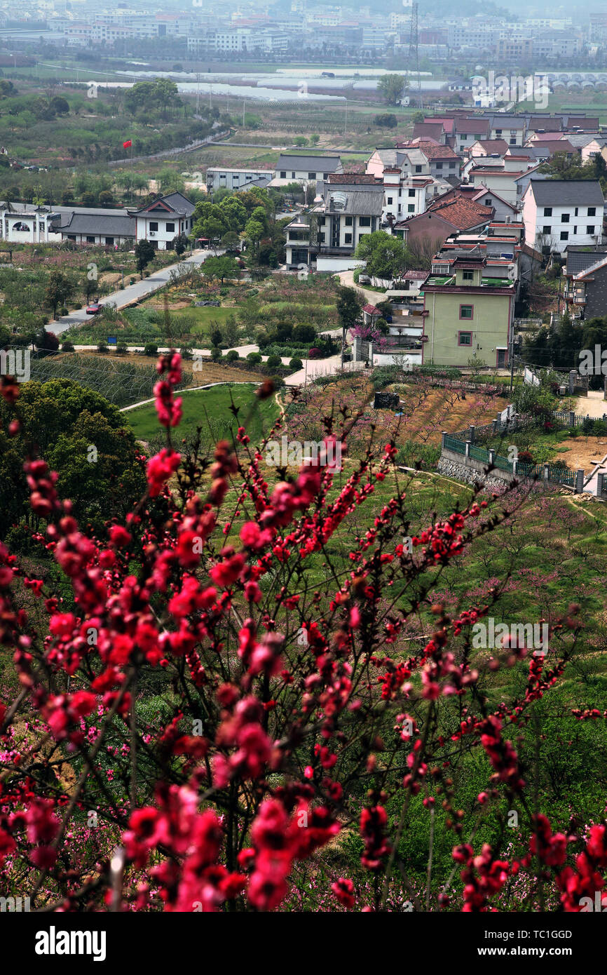 The place where peach blossoms bloom in Yangshan, Tonglu, Hangzhou Stock Photo