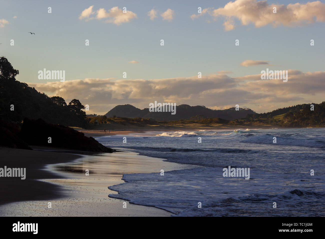 Sandy beach near New Zealand's hot water beach in mysterious evening scenery with calm pacific ocean. Stock Photo