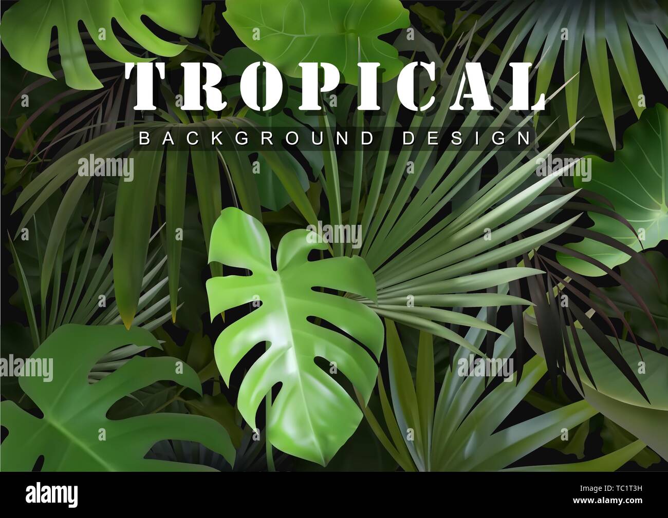 Tropical Background with Jungle Plants Stock Vector Image & Art - Alamy