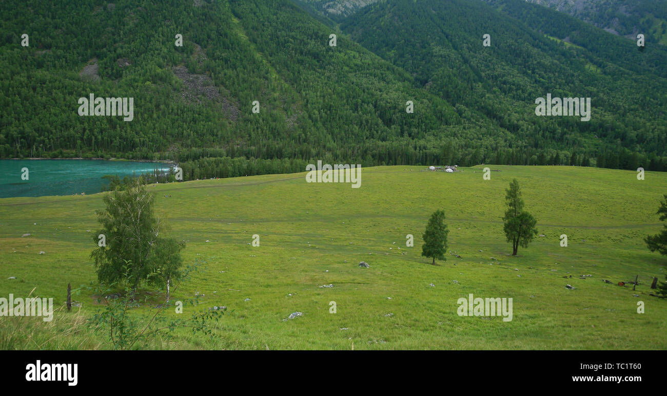 Landscape of green grassland of Kanas River in Kanas Lake, Altai, Xinjiang Stock Photo