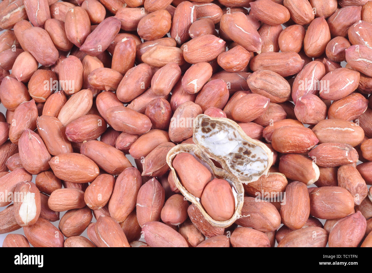 Picture description hires stock photography and images Alamy