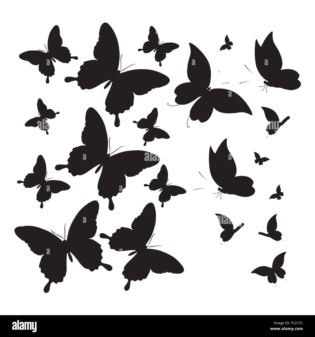 insect butterfly outline vector. nature coloring book insect butterfly ...