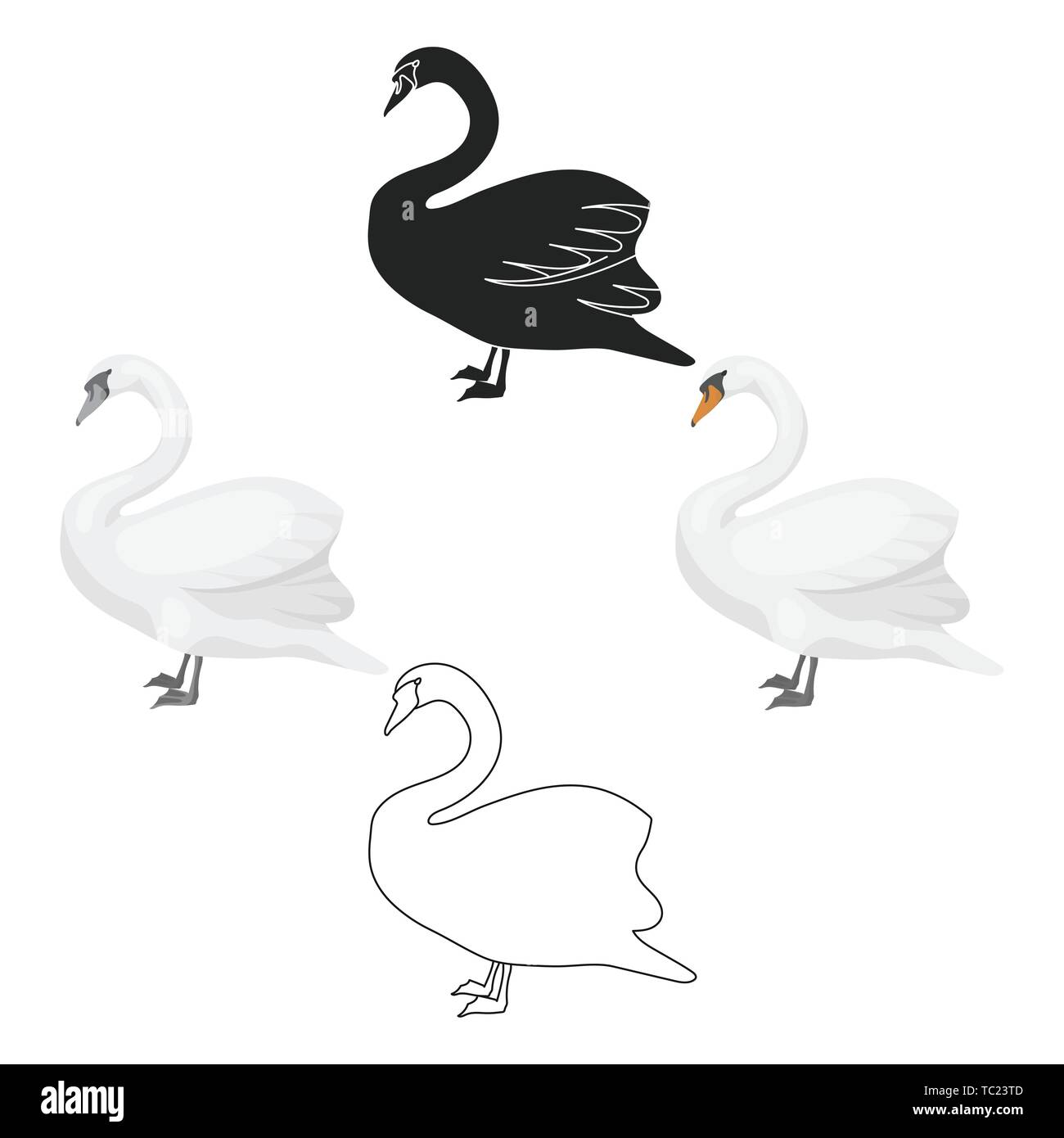 Swan icon in cartoon,black style isolated on white background. Bird symbol  vector illustration Stock Vector Image & Art - Alamy