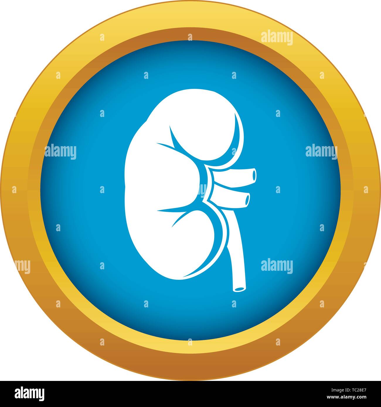 Kidney icon blue vector isolated Stock Vector Image & Art - Alamy