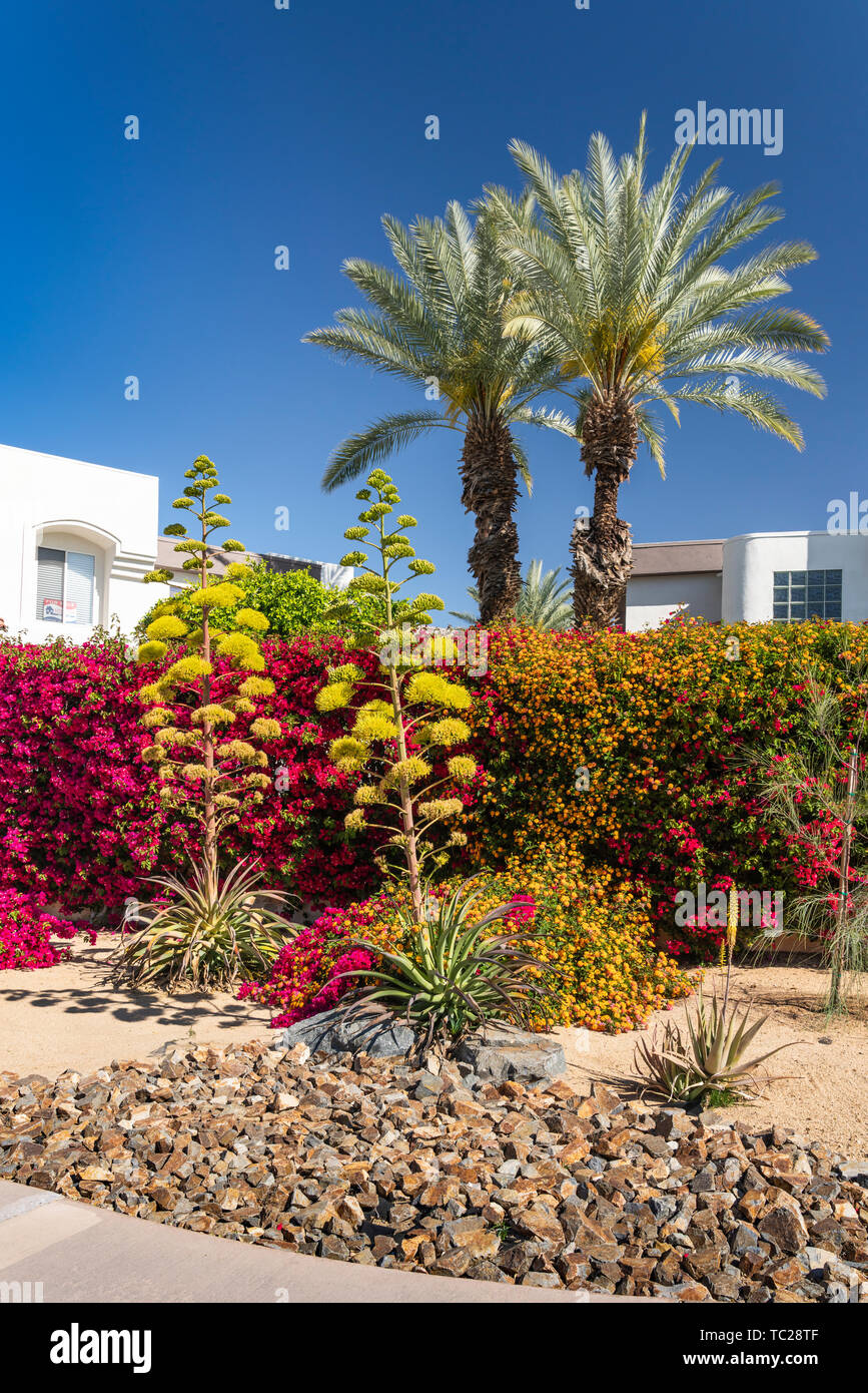 Desert landscaping hi-res stock photography and images - Alamy