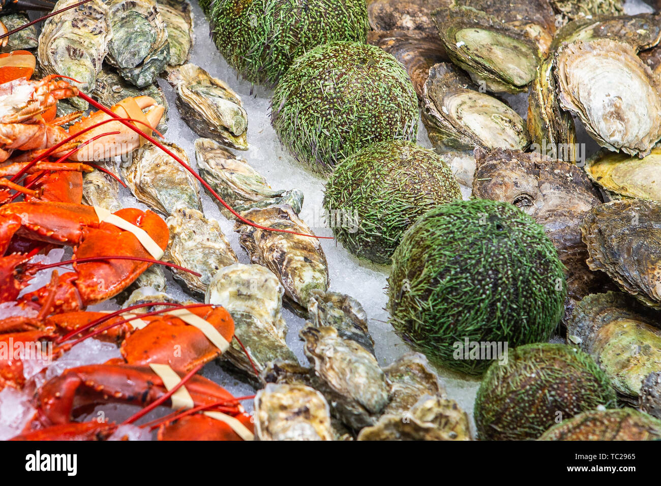 Fresh seafood in local market. Bergen, Norway. Stock Photo
