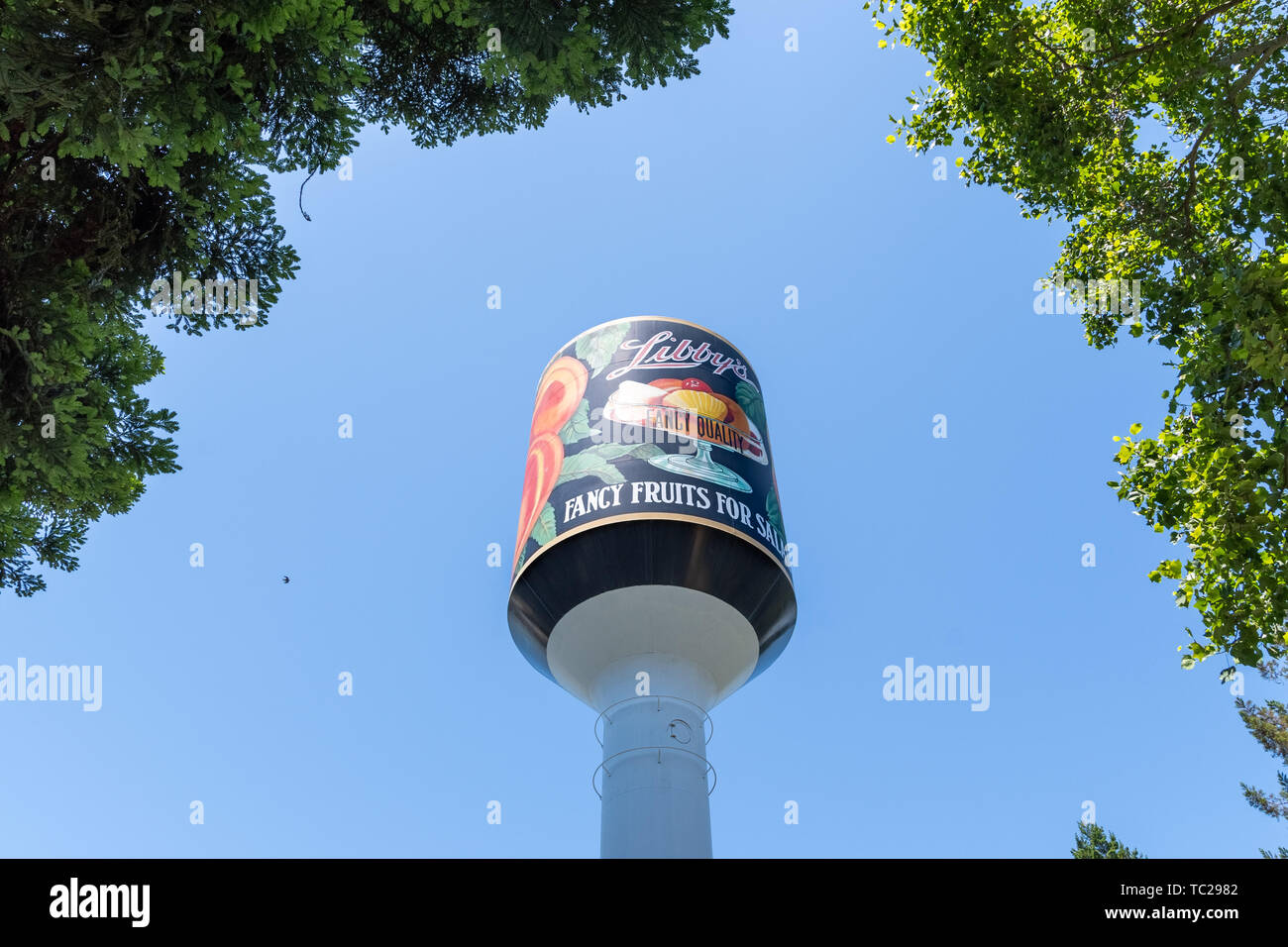 june-1-2019-sunnyvale-ca-usa-libby-s-water-tower-the-only-thing