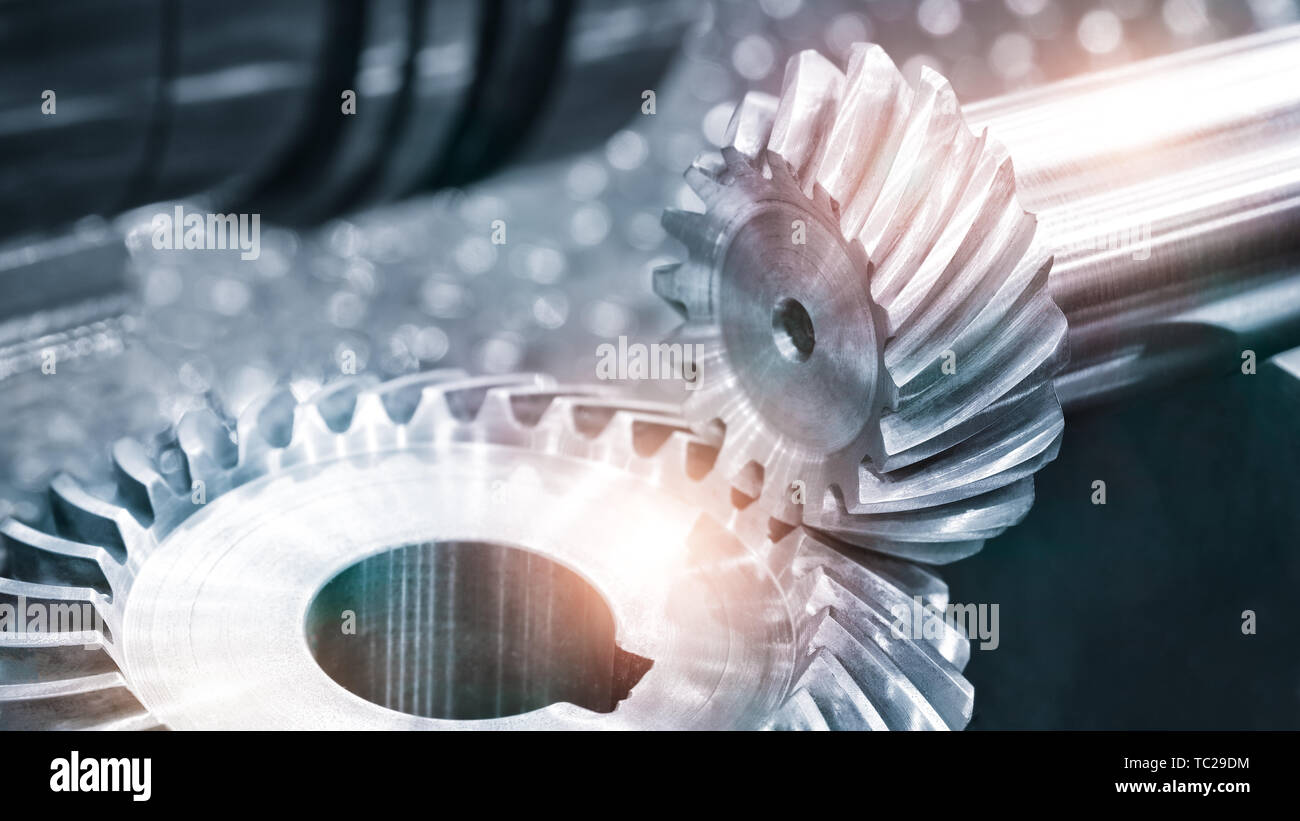 Gears, impaled on the shaft spline. Replacement spare part of the