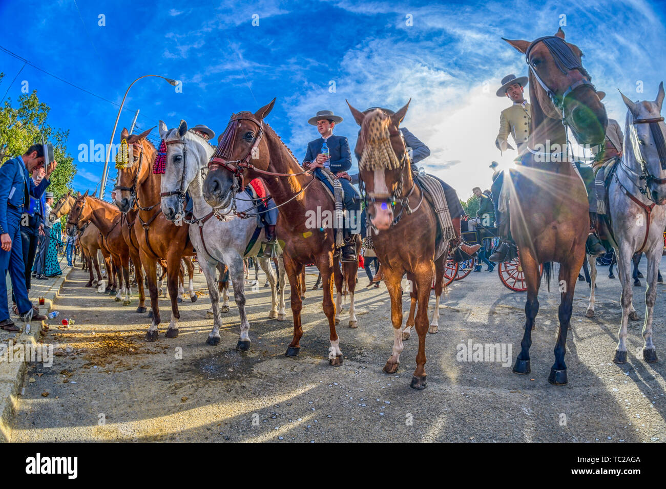 Horsemen, April fair, Seville, Spain. Stock Photo