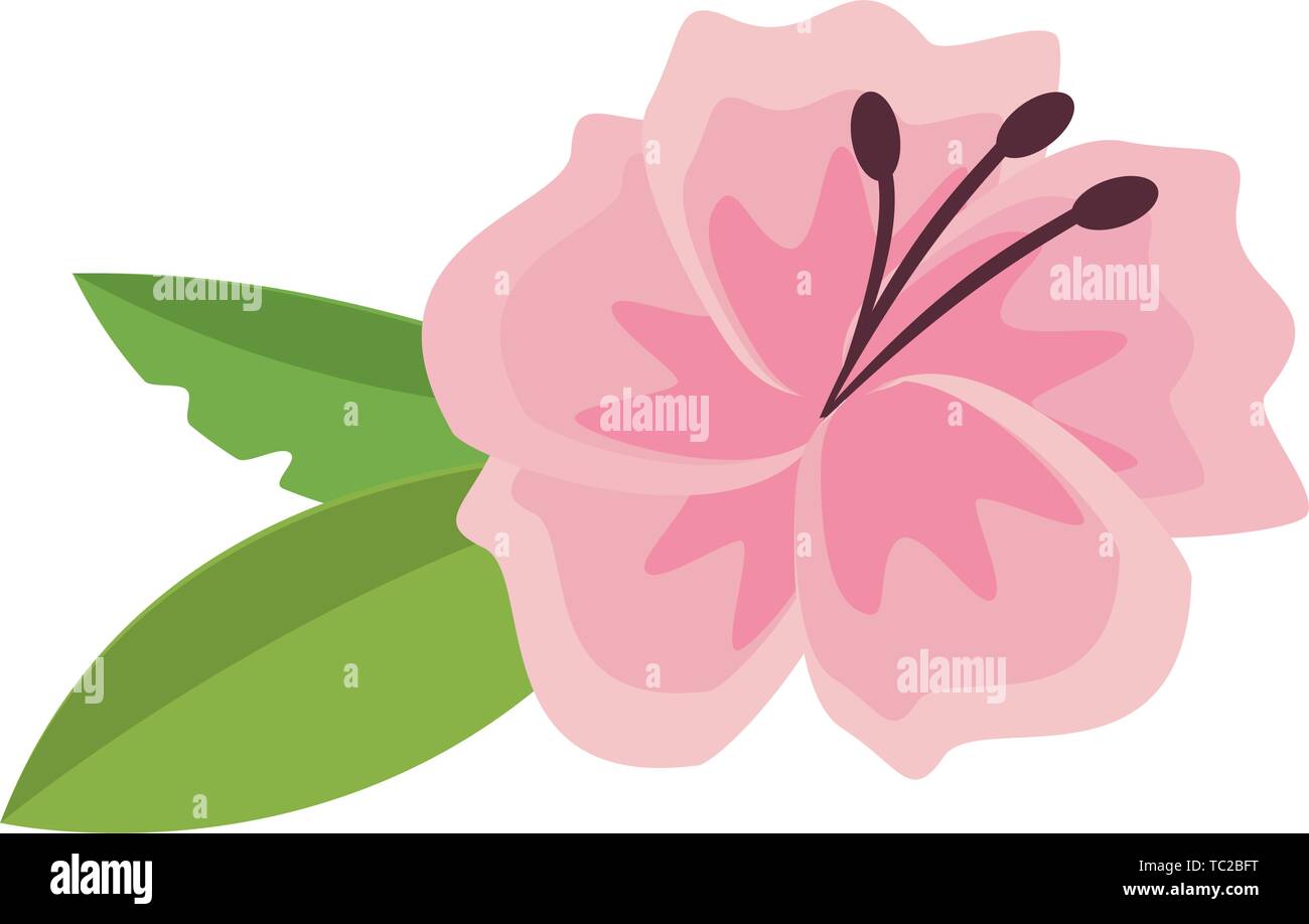 flower blossom icon cartoon isolated Stock Vector Image & Art - Alamy