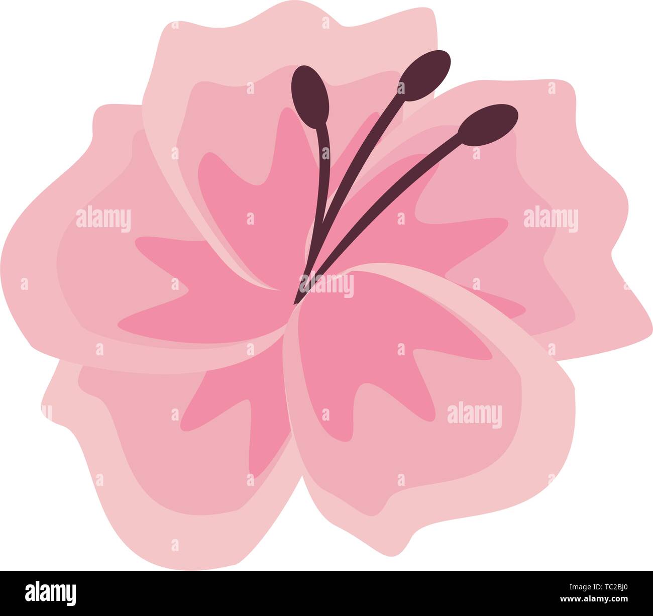 flower blossom icon cartoon isolated Stock Vector Image & Art - Alamy