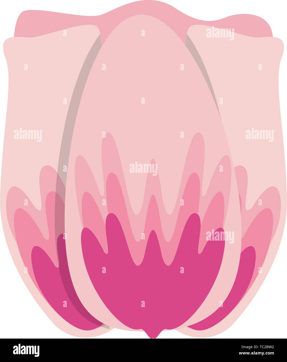 flower blossom icon cartoon isolated Stock Vector Image & Art - Alamy