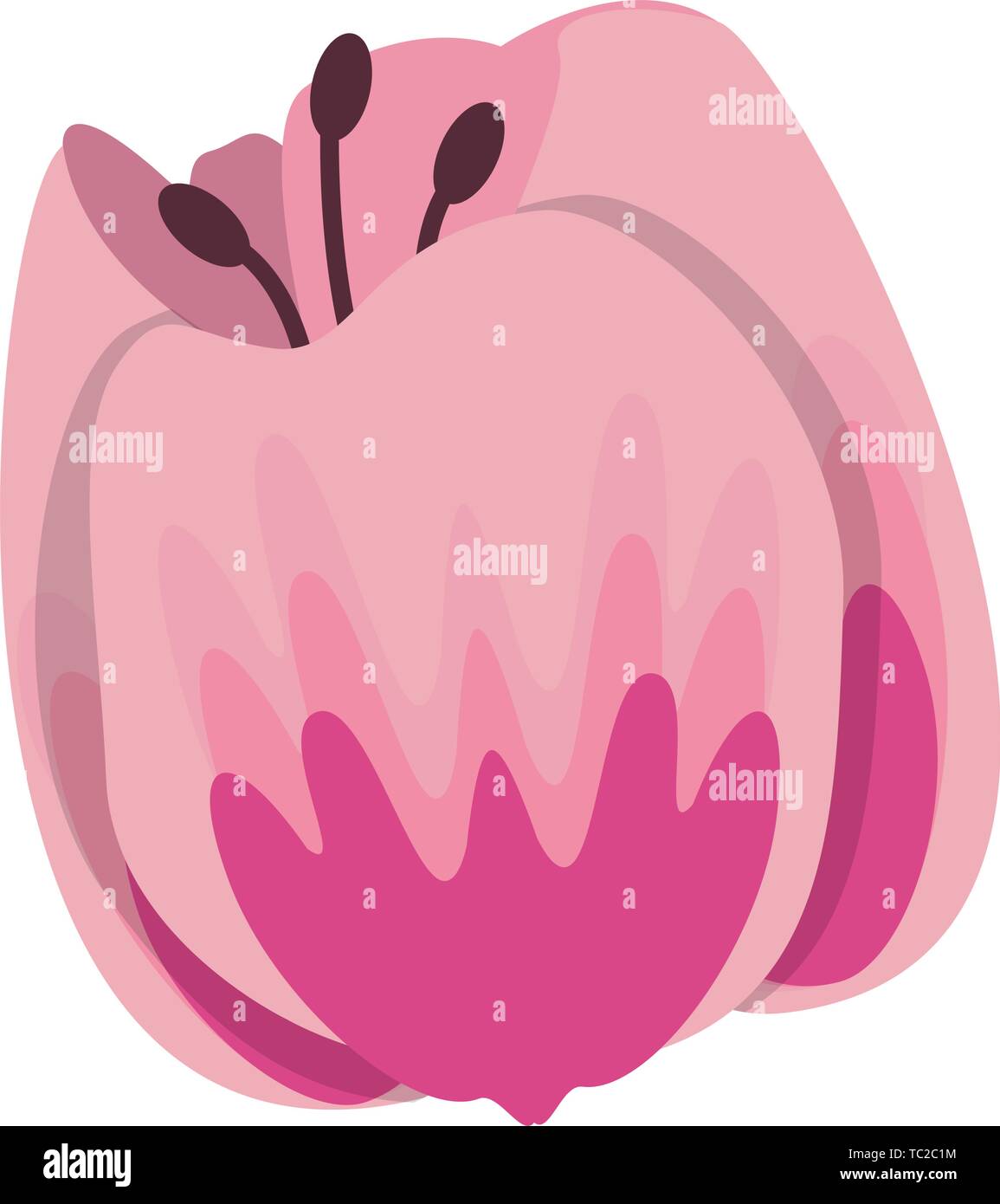 flower blossom icon cartoon isolated Stock Vector Image & Art - Alamy
