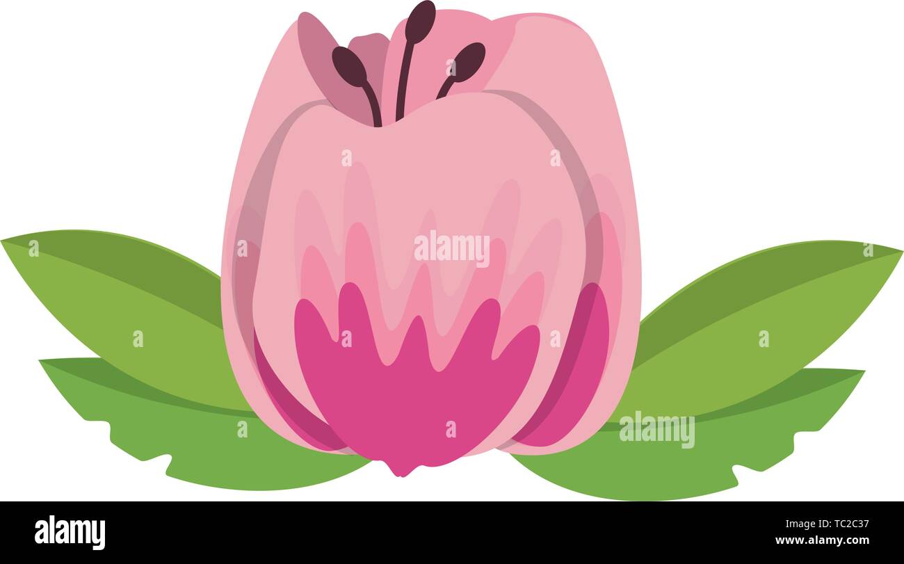 flower blossom icon cartoon isolated Stock Vector Image & Art - Alamy