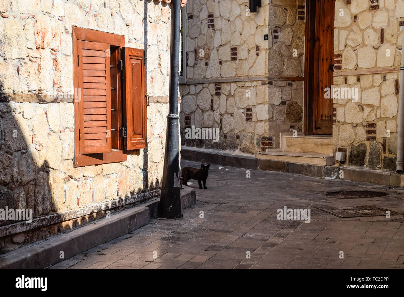 Black cat around the corner at home. Black cat runs across the road