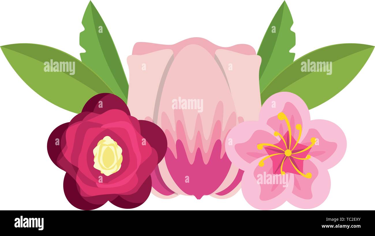 flower blossom icon cartoon isolated Stock Vector Image & Art - Alamy